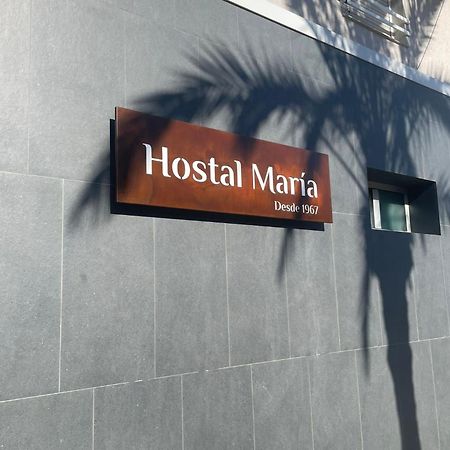 אלצ'ה Hostal Maria מראה חיצוני תמונה Hostel María